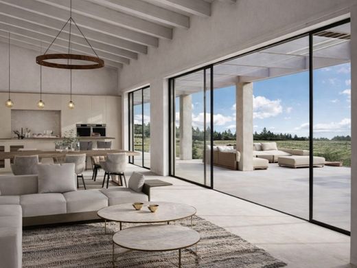 Casa di lusso a ses Salines, Isole Baleari