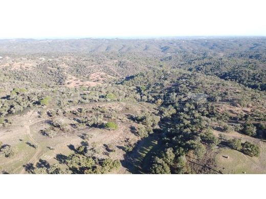 Arsa Grândola, Distrito de Setúbal