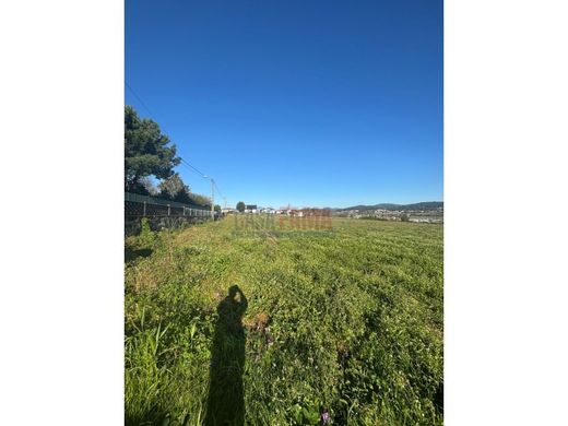 Arsa Barcelos, Distrito de Braga