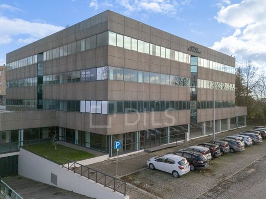 Office in Matosinhos, Distrito do Porto