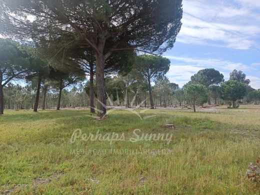 Terreno a Grândola, Distrito de Setúbal