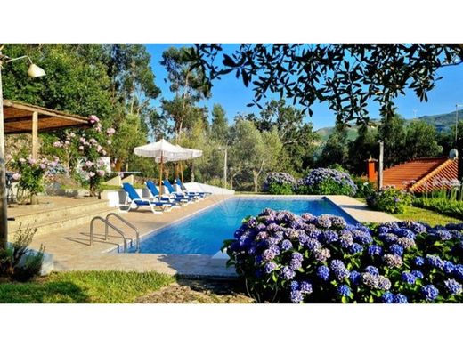 Vieira do Minho, Distrito de Bragaの高級住宅