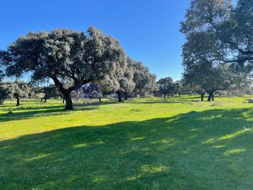 Boerderij in Montánchez, Provincia de Cáceres