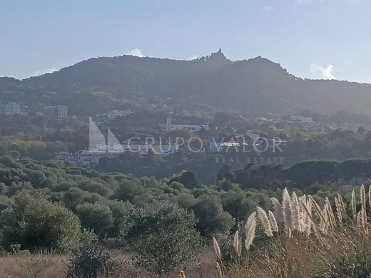 Arsa Sintra, Distrito de Lisboa