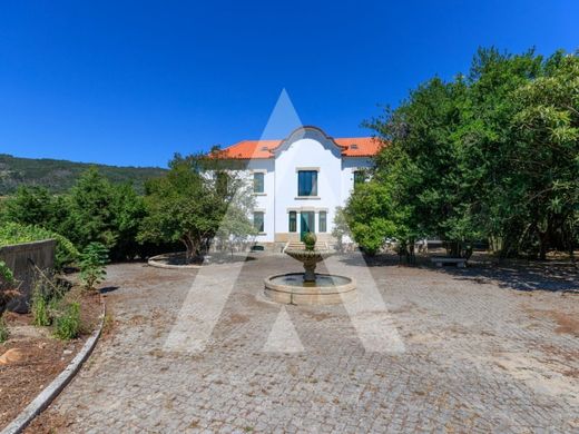 农场  Penafiel, Distrito do Porto