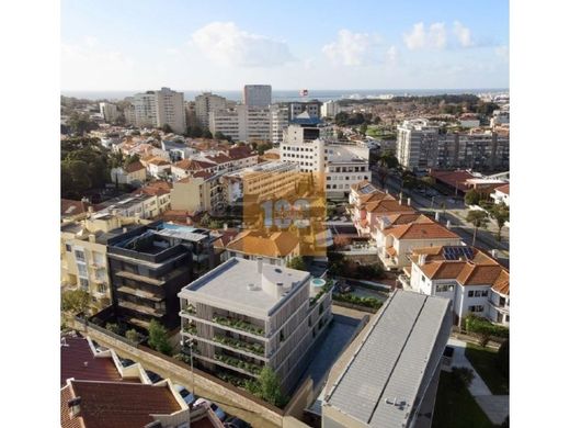 Daire Porto, Distrito do Porto