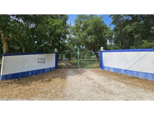 Casa di lusso a Alcobaça, Distrito de Leiria