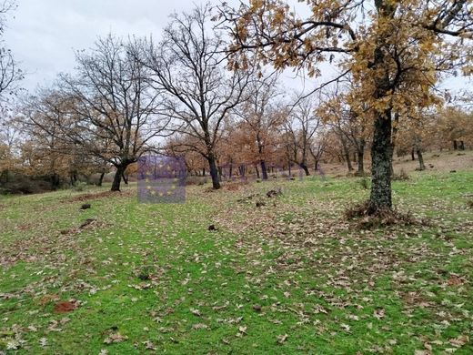 村舍/农舍  Coria, Provincia de Cáceres