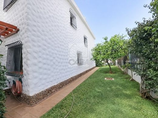 Villa multifamiliale à Adeje, Province de Santa Cruz de Ténérife