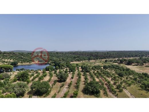 Fattoria a Montemor-o-Novo, Montemor-O-Novo