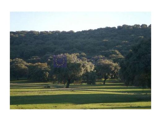 Demeure ou Maison de Campagne à Salorino, Caceres