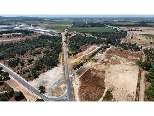 Αγροτεμάχιο σε Almeirim, Santarém