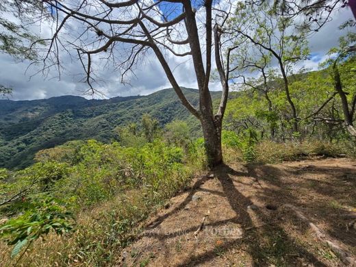 토지 / Santa Ana, Provincia de San José