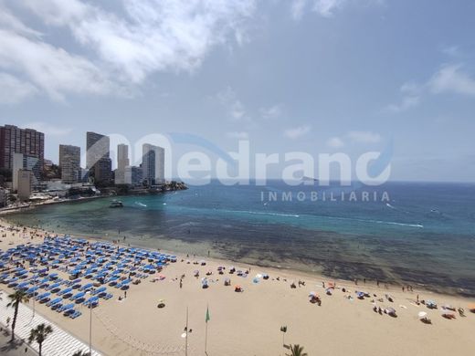 Apartment in Benidorm, Alicante