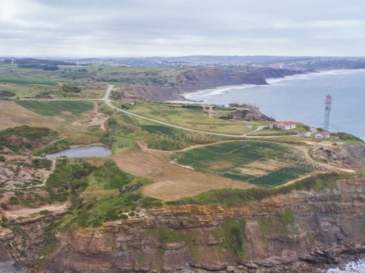 Terrain à Lourinha, Lourinhã