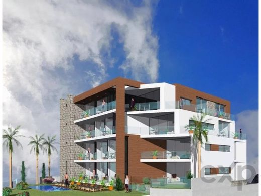 Daire Ponta do Sol, Madeira