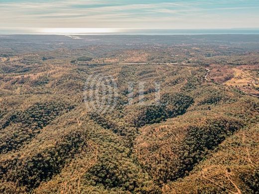 Teren w Grândola, Distrito de Setúbal