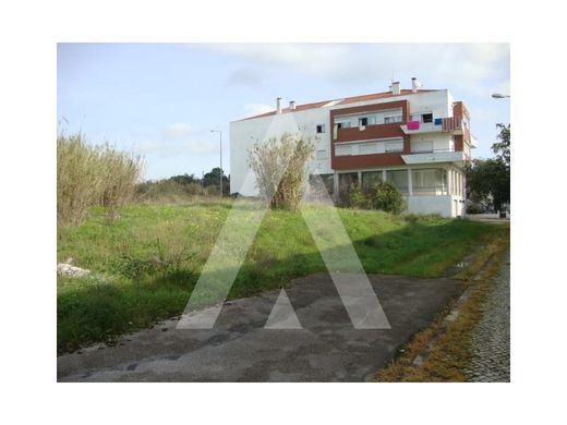 Figueira da Foz, Distrito de Coimbraの土地