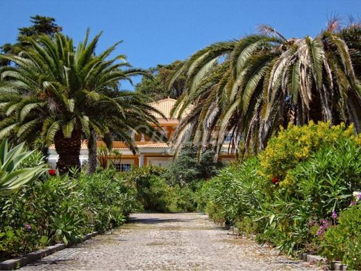 Detached House in Sintra, Lisbon