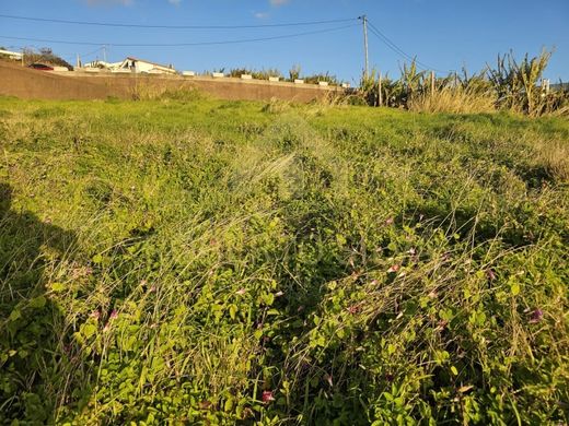 Terreno - Calheta, Madeira