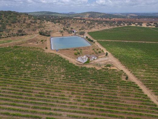 Farma w Vila Viçosa, Distrito de Évora