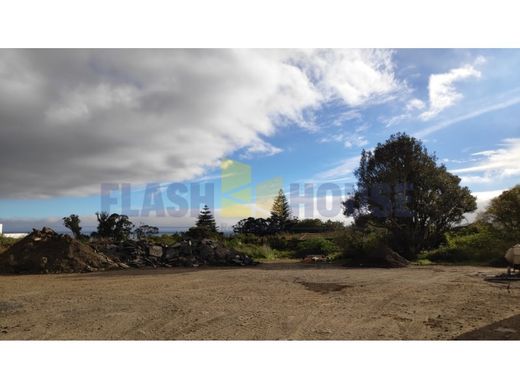 Terreno - Ponta Delgada, Açores