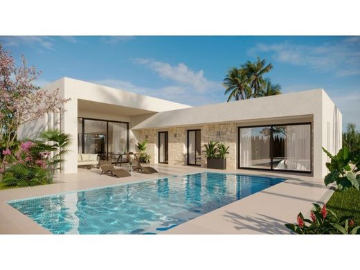 Villa in Aspe, Alicante