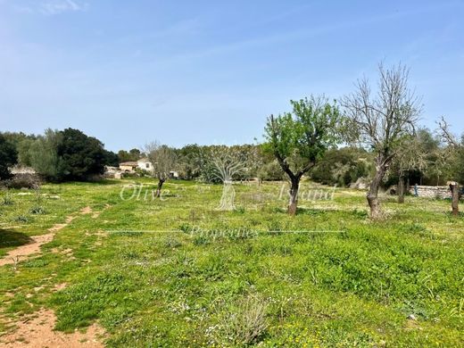 Terreno en Algaida, Islas Baleares