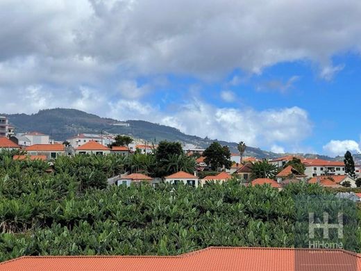 ‏קרקע ב  Funchal, Madeira