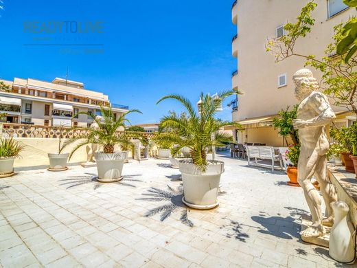 Alcúdia, Illes Balearsのアパートメント