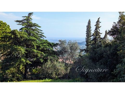 토지 / Faro, Distrito de Faro