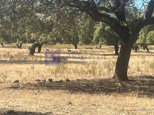 Lüks ev Cáceres, Provincia de Cáceres