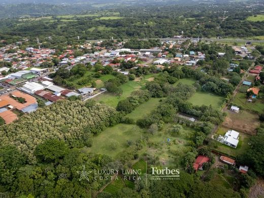 Alajuela, Cantón de Alajuelaの土地