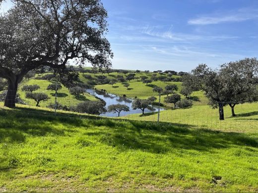 Farm in Beja, Distrito de Beja