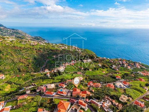 Ponta do Sol, Madeiraの高級住宅