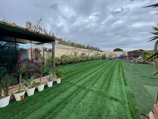Land in Charneca de Caparica, Almada