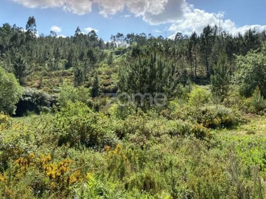 Teren w Vila Nova de Ourém, Ourém