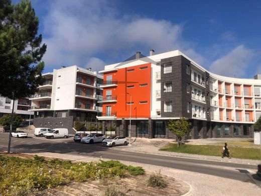 Daire Caldas da Rainha, Distrito de Leiria