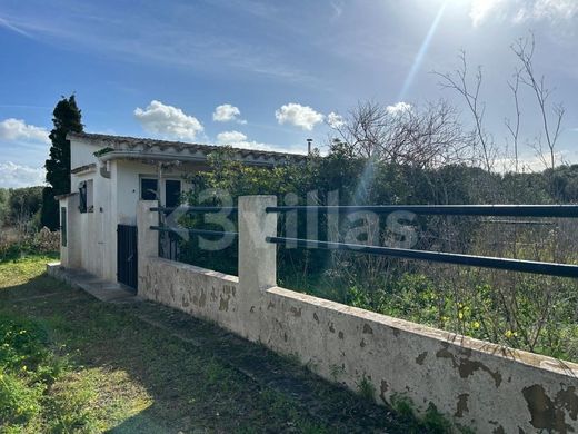 Arsa Ciutadella, Illes Balears