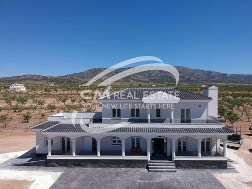 Pinoso, アリカンテのヴィラ