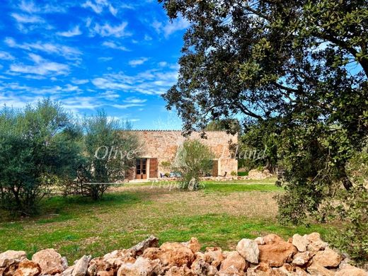 Maison de luxe à Sencelles, Province des Îles Baléares