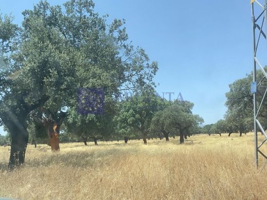Boerderij in Coria, Provincia de Cáceres