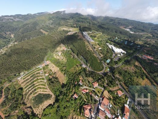 Arsa Santa Cruz, Madeira