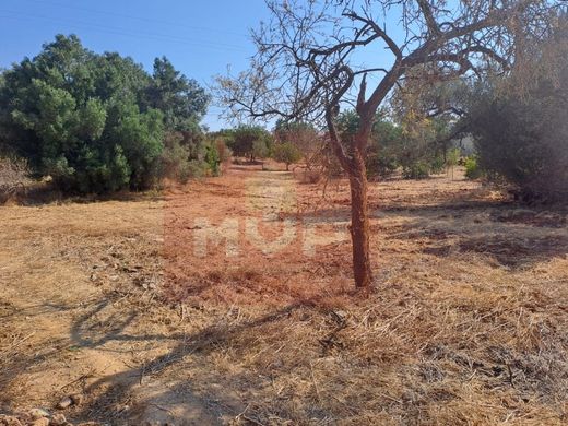 Αγροτεμάχιο σε Loulé, Distrito de Faro