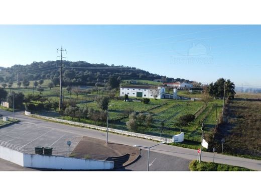 Luxe woning in Montemor-o-Novo, Montemor-O-Novo