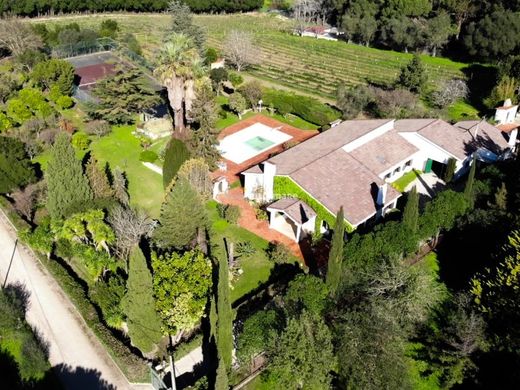 Farm in Setúbal, Distrito de Setúbal