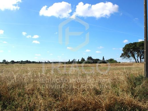 Terreno - Benavente, Santarém