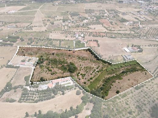 Αγροτεμάχιο σε Cartaxo, Distrito de Santarém