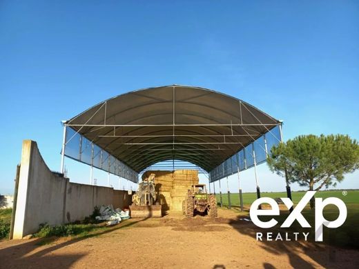 Land in Castro Verde, Distrito de Beja