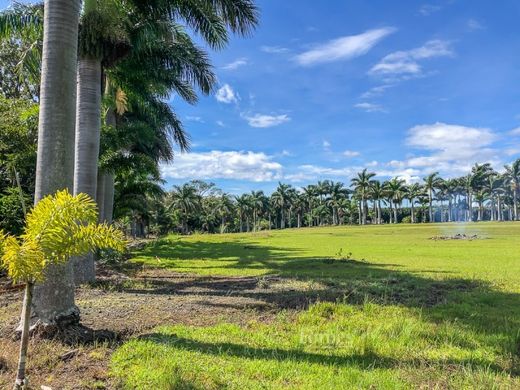 Terreno en Alajuela, Cantón de Alajuela